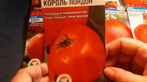 Томаты Крупные и Урожайные /Сибирская коллекция/Обзор 2022/