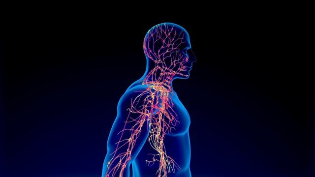 Гайд: Как не заболеть раком + мой опыт смотреть онлайн