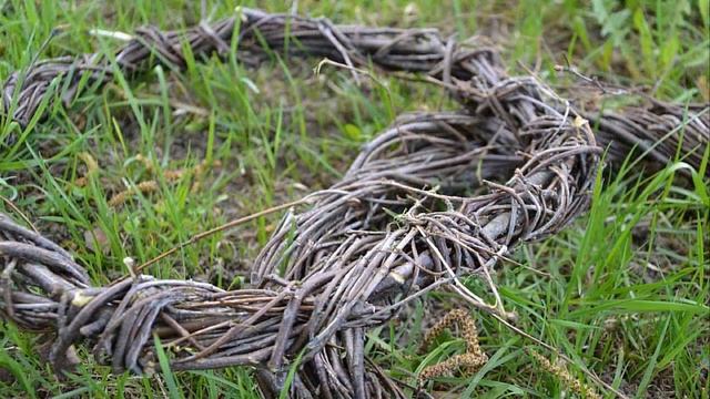 Ивушка стихи Нины Волкодав музыка, исполнение Юрия Гафнера смотреть онлайн