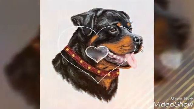 Друзья мы бы хотели вам подарить маленьких щенков смотреть онлайн