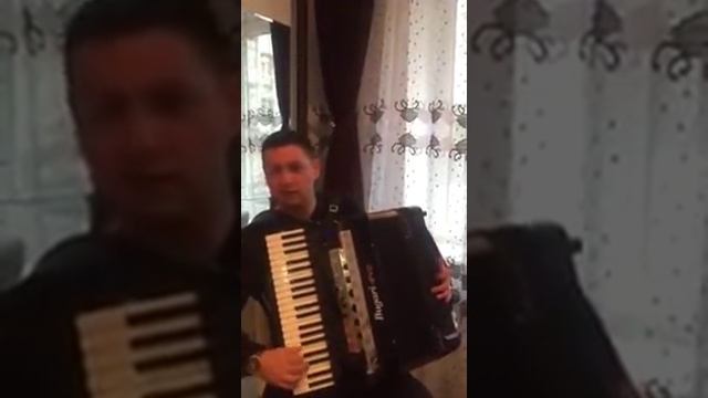 Paul Stângă - o melodie de suflet cu noul acordeon Bugari Evo смотреть онлайн