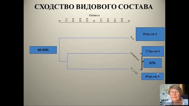 Диатомовые в отложениях термокарстовых озёр в Ямало-Ненецком автономном округе смотреть онлайн