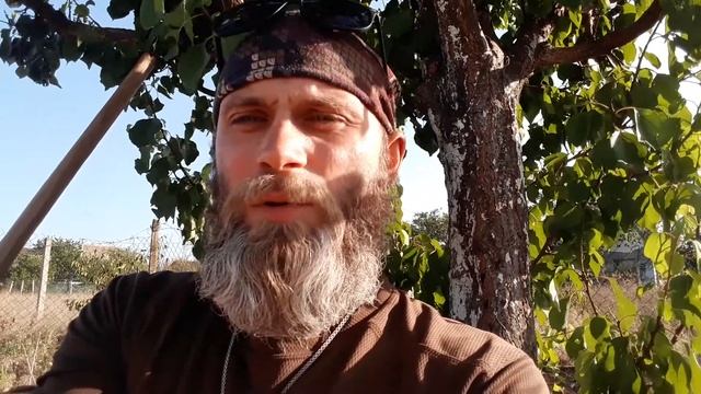 Как отличить правИло от кривИла. смотреть онлайн