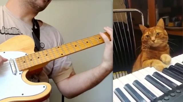 Barney cat piano + guitarra смотреть онлайн