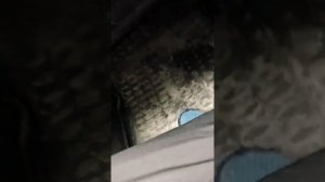 AUX кабель в штатную магнитолу mazda 6 gg (Только для рестайлинговых моделей!!!)