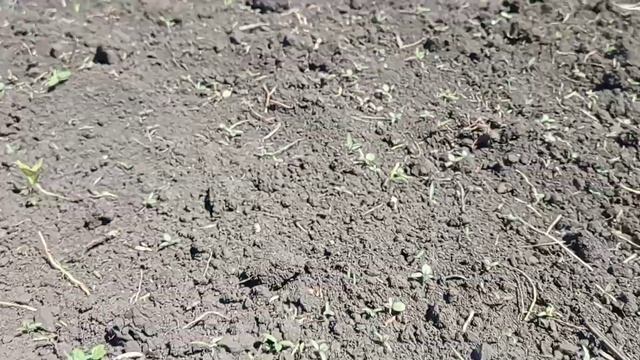 Наука и Открытия в Мире Технологий