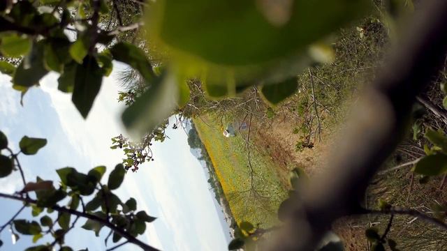 Крушение в подсолнухах 4к смотреть онлайн