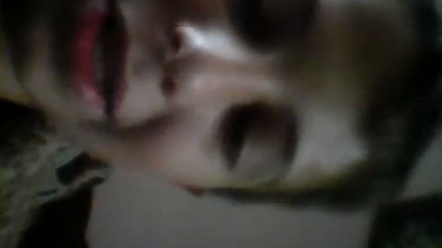 Люди це гра карти