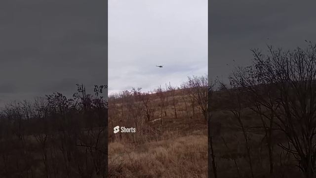 24 ноября 2023 г. (13).mp4 смотреть онлайн