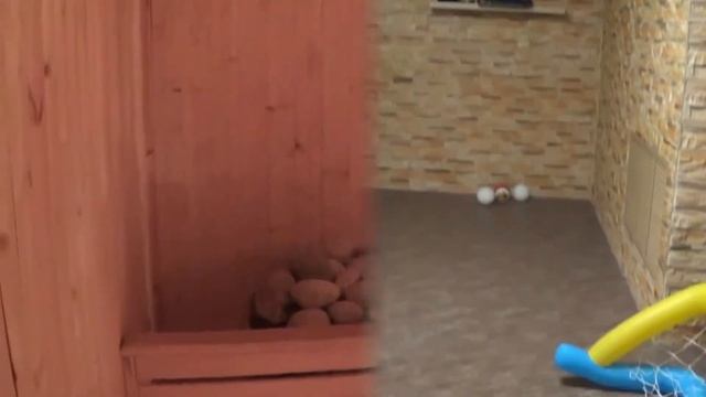 5 Зеленая коттедж посуточно в Казани 89173944969 смотреть онлайн
