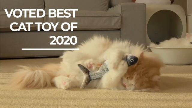 Original Floppy Fish Cat Toy that flops смотреть онлайн