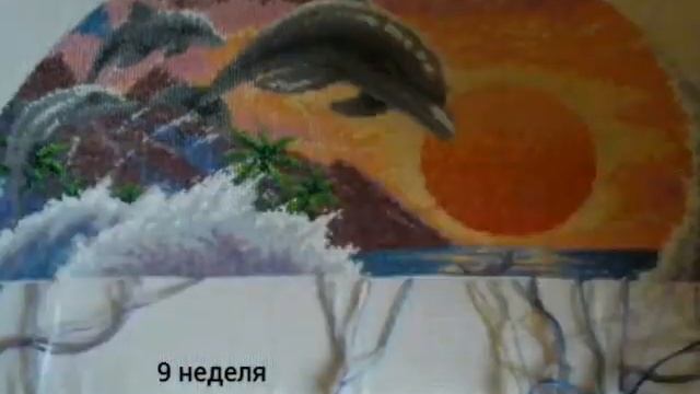 Слайд-шоу процесса "Дельфины" смотреть онлайн