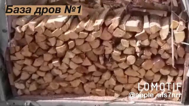 Video-31-05-23-12-00