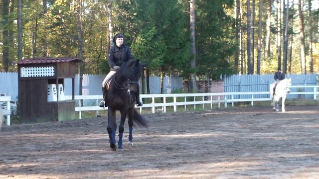 00052 смотреть онлайн