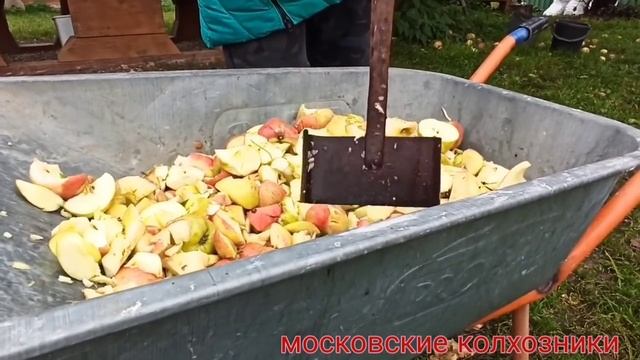 Живём в деревне/Наше хозяйство/Коровы/Козы/Индюки... смотреть онлайн