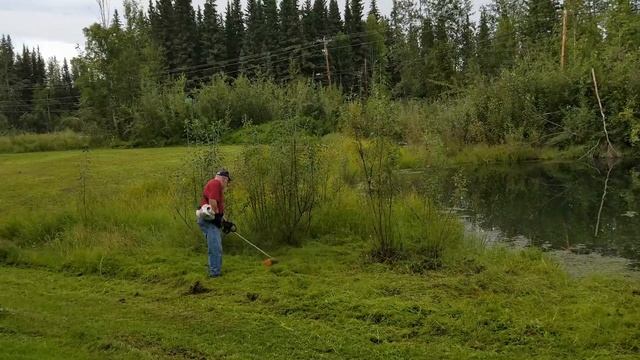 #18 Stihl FS 70 R "String Trimmer Review Not Kubota But Stihl Orange" смотреть онлайн