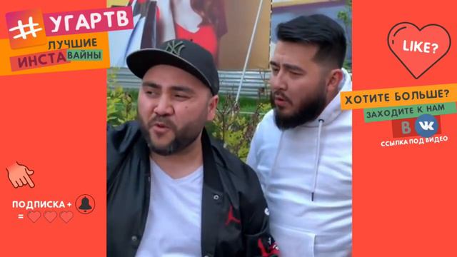 НОВЫЕ ВАЙНЫ СЕКА ЛУЧШЕЕ 2019 SEKA ПОДБОРКА ВАЙНОВ sekavines смотреть онлайн