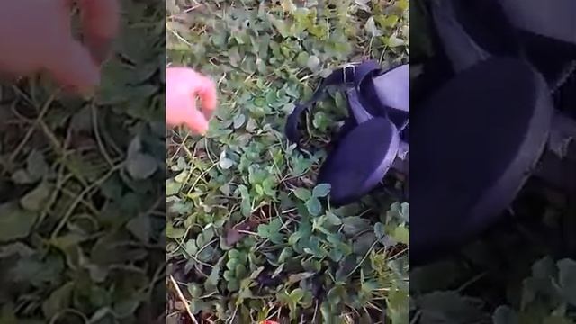 снайперка  6