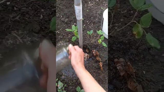 22 июня 2022 г. смотреть онлайн