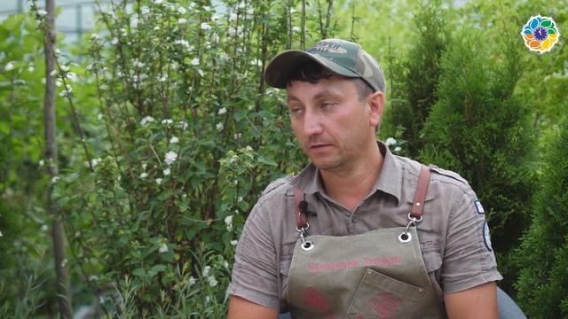 Советы по гортензиям смотреть онлайн