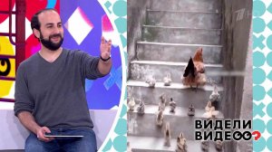 Видели видео? Часть 2. Выпуск от 21.06.2020