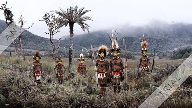 Coming Soon Tribal Calling смотреть онлайн