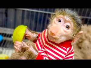 У Люси, Маняши и Степы УЖИН! Маняшка лопает за двоих- маленькая овощерубка)))