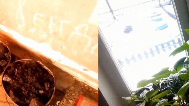 Сколько угля у нас осталось и как я его набираю . Очистка воды смотреть онлайн