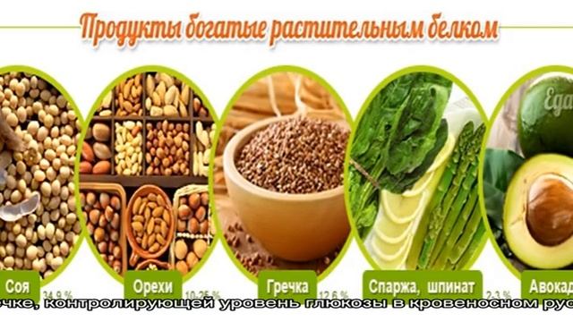 Продукты, богатые белком смотреть онлайн