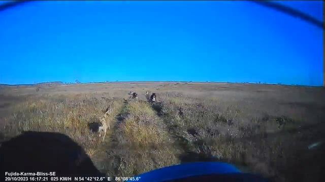 Адреналин для Ленинск Кузнечан, и не только.. Для Любителей природы. смотреть онлайн