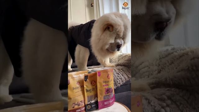 Dog loving Dogsee Chew Treats | Customer Review смотреть онлайн