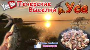 р.Уса. Печерские Выселки. Стрижи одолели. Замечательный отдых.mp4