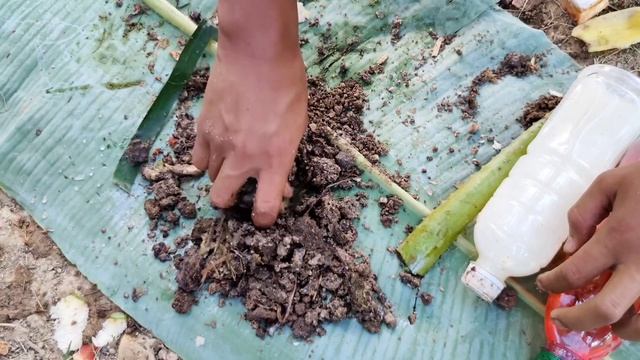 Technique Planting : How To Grafting Java plum Trees From Coconut Has Many Fruit смотреть онлайн