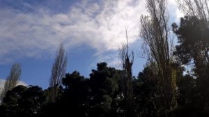 Рамзан Кадыров В Грозный прибыл Президент Республики Южная Осетия Алан Гаглоев Ахмат сила Аллаху А.