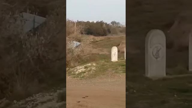 Моноколесо gotway Msuper v3.Саки . Средняя дамба. 12.2020. смотреть онлайн