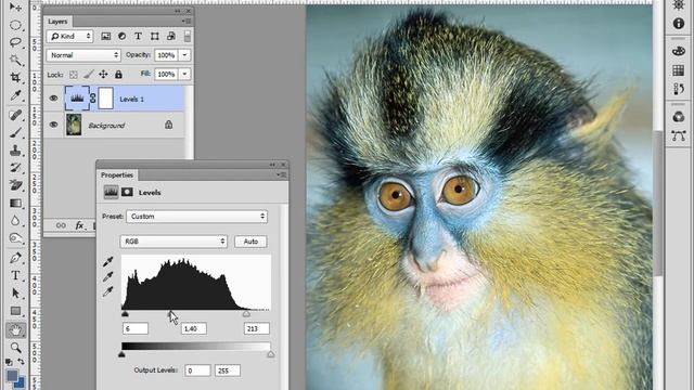 Adobe Photoshop – Корректирующие слои. Неразрушающая коррекция смотреть онлайн