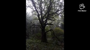 Fahrradsattel-Pisse Instrumental