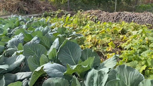 Позволяю свой душе делать всё, что ей хочется, а не то что вам нужно смотреть онлайн