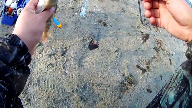 Рыбалка в Курганской области село Сафакулево смотреть онлайн