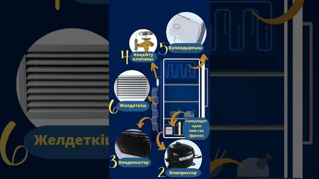 Тоңазытқыштар қалай жұмыс істейді? #физика #physics #білім #білімберу #техника #тоңазытқыш смотреть онлайн