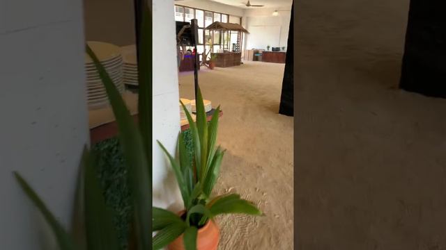 Завтрак в отеле Plumeria