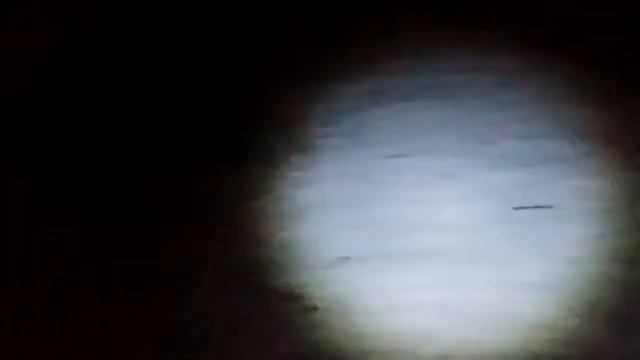 Гуси, гуси - га!га!га! смотреть онлайн