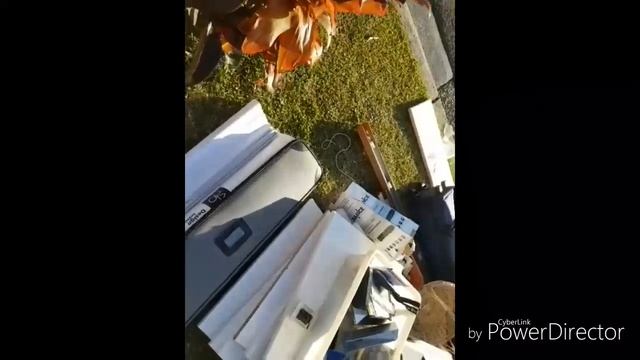АВСТРАЛИЯ ШОК БЕСПЛАТНЫЙ АНТИКВАРИАТ ТОННЫ ТЕХНИКИ МЕБЕЛЬ НА СВАЛКЕ ШПЕРМЮЛЬ НА УЛИЦЕ ДИКАЯ ПРИРОДА смотреть онлайн
