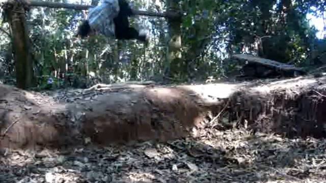 eric rubin treino alone смотреть онлайн