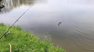 Рыбалка Краснодарский край, ст.Дядьковская