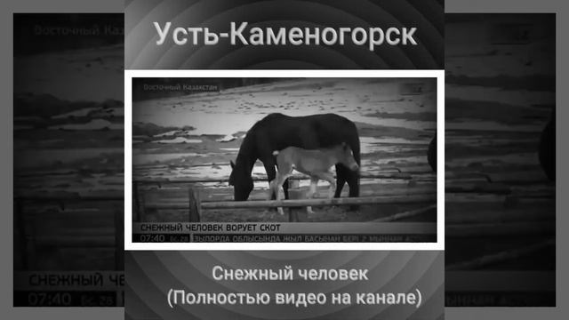 Усть-Каменогорск Снежный человек смотреть онлайн