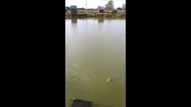 Рыбалка 27.09.2011 м.wmv смотреть онлайн