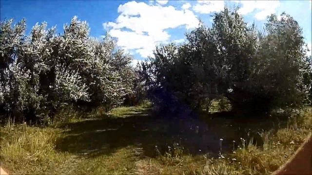 Прокатнулся в глушицу смотреть онлайн