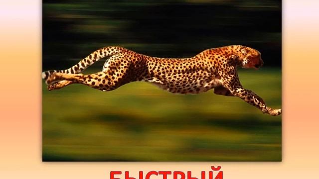 Говори правильно ТР ДР смотреть онлайн