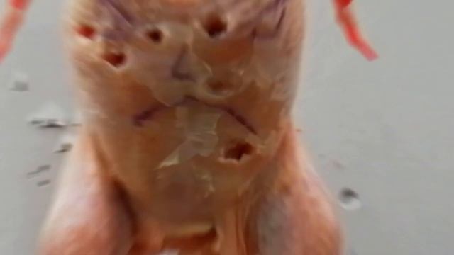 Umarex Revolver HDR 50 T4E CO2 RAM_11J - Chicken & Watermelon - Shooting Test! [+ Subtitles ENG] смотреть онлайн